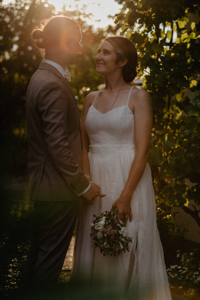 Brautpaar beim Sonnenuntergang zwischen Weinreben