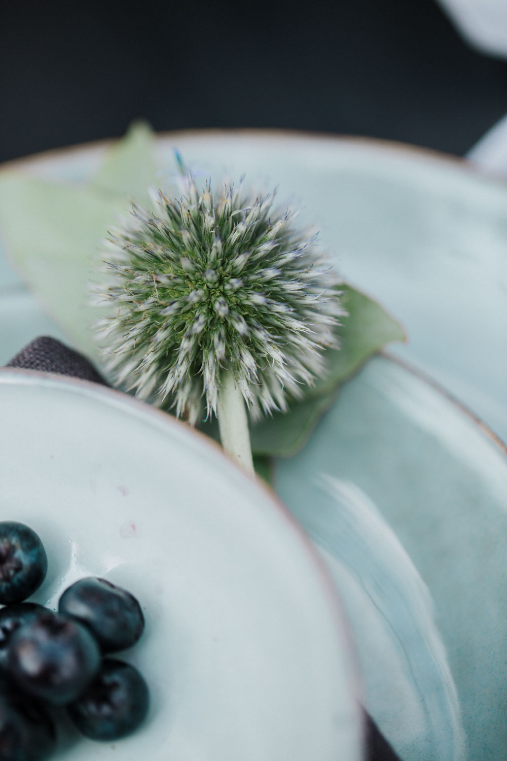 Nahaufnahme von Keramiktellern mit Deko-Blüte und Beeren