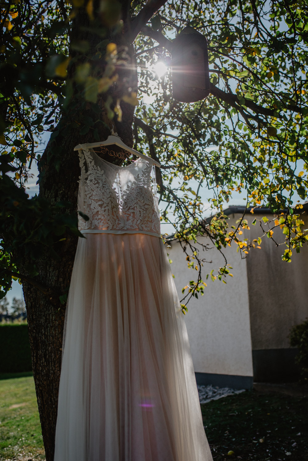 Brautkleid hängt im Sonnenlicht am Baum – Detailaufnahme.