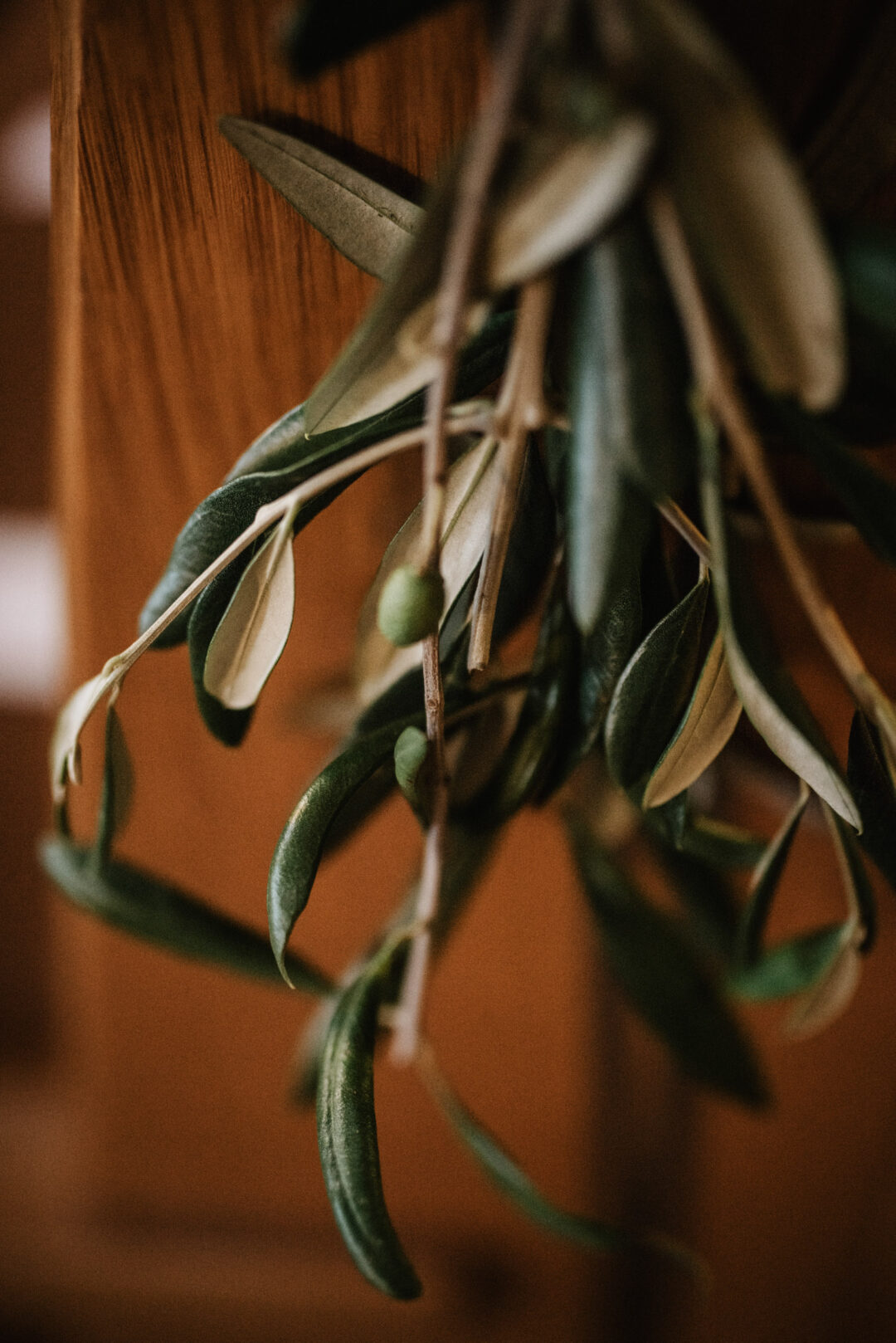 Detailaufnahme von Olivenzweigen als Hochzeitsdeko