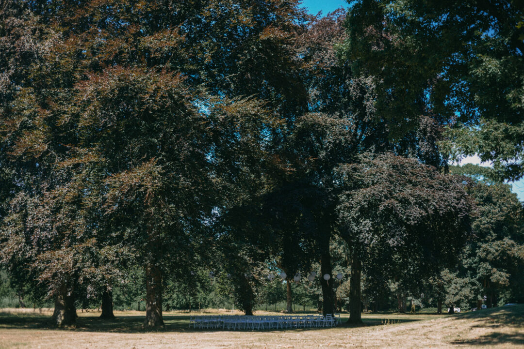 Stuhlreihen für freie Trauung unter alten Bäumen