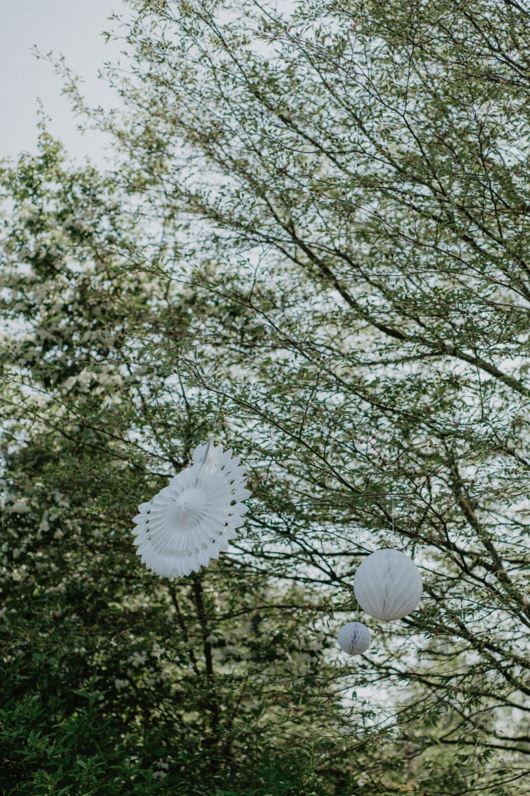 Weiße Luftballons als Hochzeitsdeko im Baum