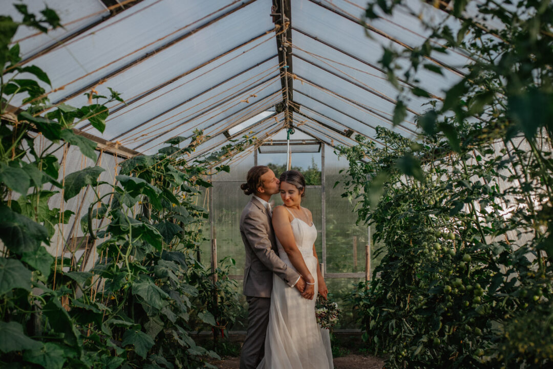 Brautpaar im Gewächshaus mit Tomatenpflanzen