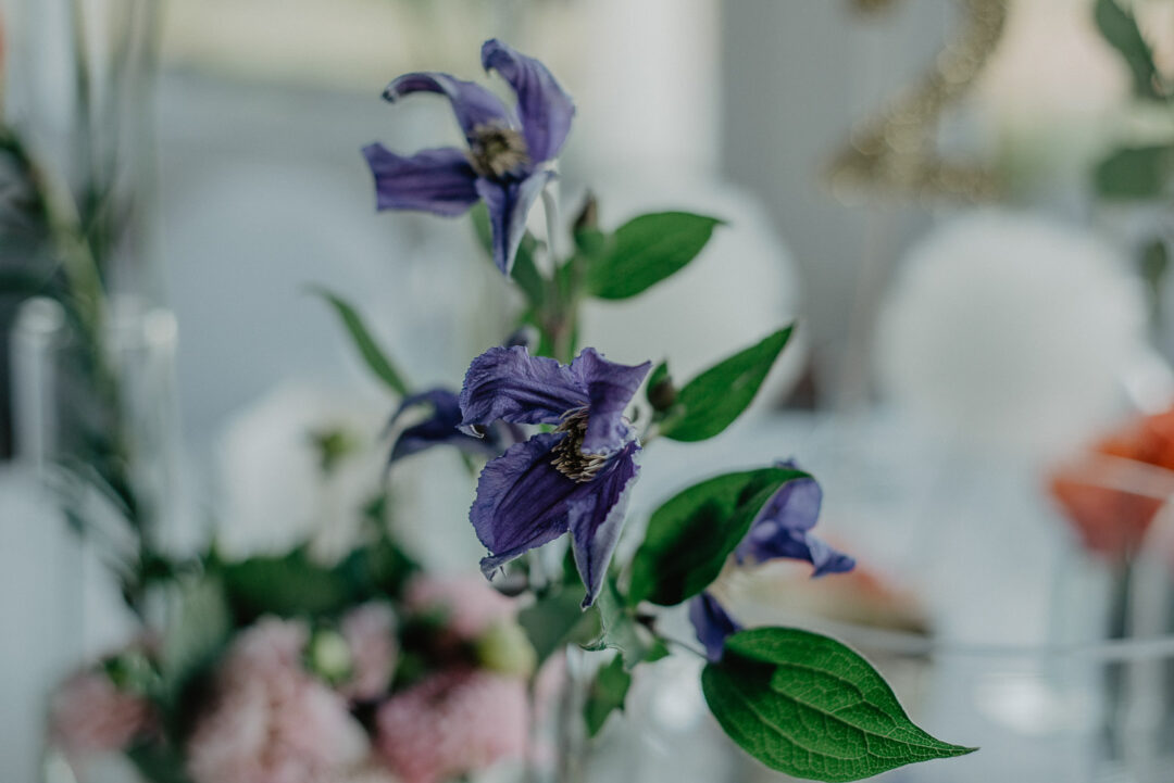 Nahaufnahme einer violetten Blume auf Hochzeitstisch