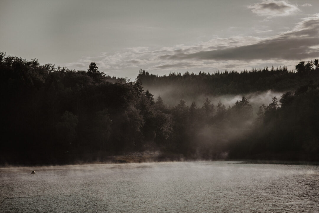 Nebel liegt über dem See im Morgenlicht