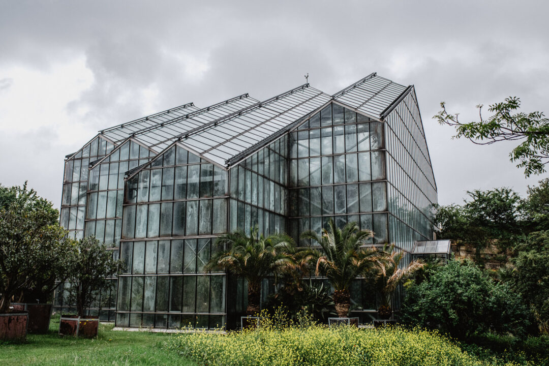 Gewächshaus im Botanischen Garten Osnabrück bei Regenwetter