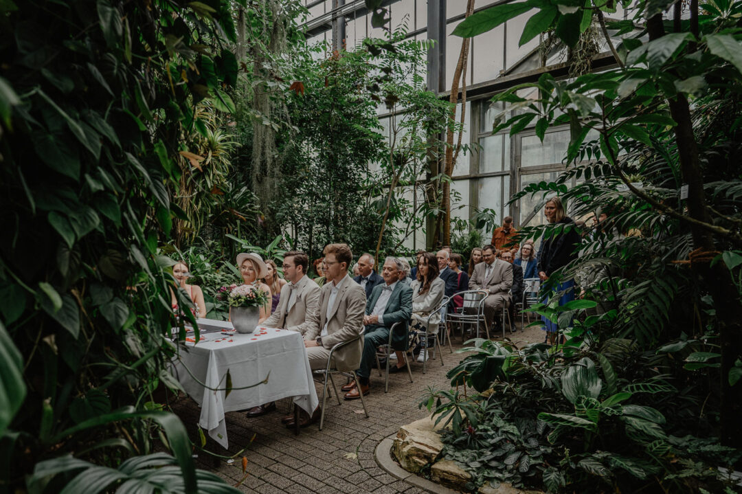 Gäste verfolgen die Trauung im grünen Regenwaldhaus
